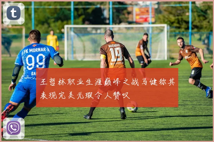王哲林职业生涯巅峰之战马健称其表现完美无瑕令人赞叹